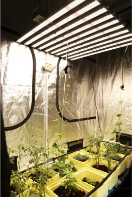 Espectro completo de cultivo hidropônico para plantas de interior, barra de lâmpada à prova d'água, 2019, lâmpada de crescimento, indução quântica, luz led para cultivo